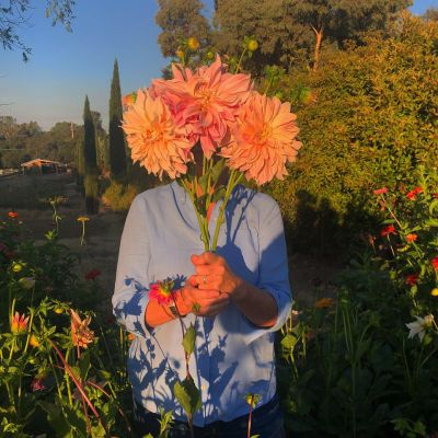 master gardener blog