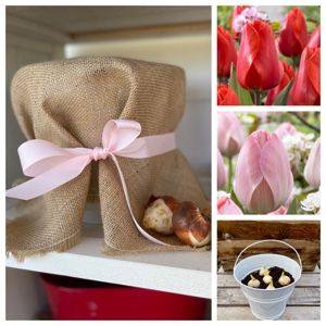 Unique and Different Valentines Gift