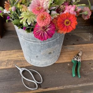 picking a gift box for a gardners