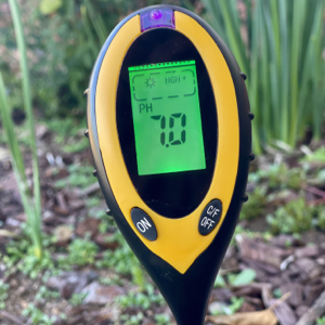 is your soil ph right/.