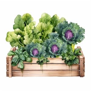 vegetables to. grow in winter