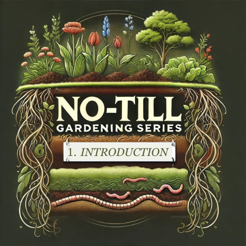 learn about no till gardening