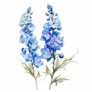 How to collect and save delphinium seeds