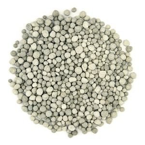what is tsp?