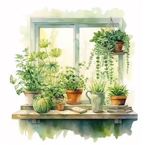 indoor windowsill garden