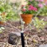 rotor sprinkler