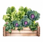 vegetables to. grow in winter