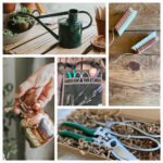 5 amazing gifts for the indoor gardener