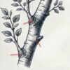 Understanding the Branch Collar: A Crucial Aspect of Pruning & Tree Health