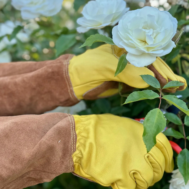 long rose pruning gloves