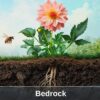 Understanding the Bedrock Layer: The Foundation of Your Garden