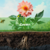 The Green Layer – From Individual Plant to Garden Ecosystem