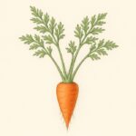 carrot garden guide