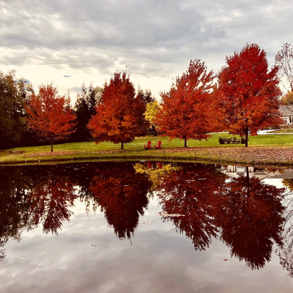 fall colors