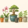Shopping for the Best Pot – Why All Pots Are Not Created Equal