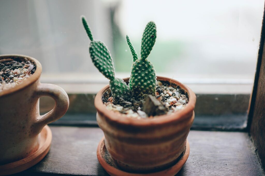 what is a terra cotta pot best for?