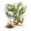 How to Propagate and Dig Up Calla Lilies – A Step-by-Step Guide