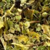 Turn Fall Leaves into Garden Gold π | The Simple Trick Every Gardener Should Know