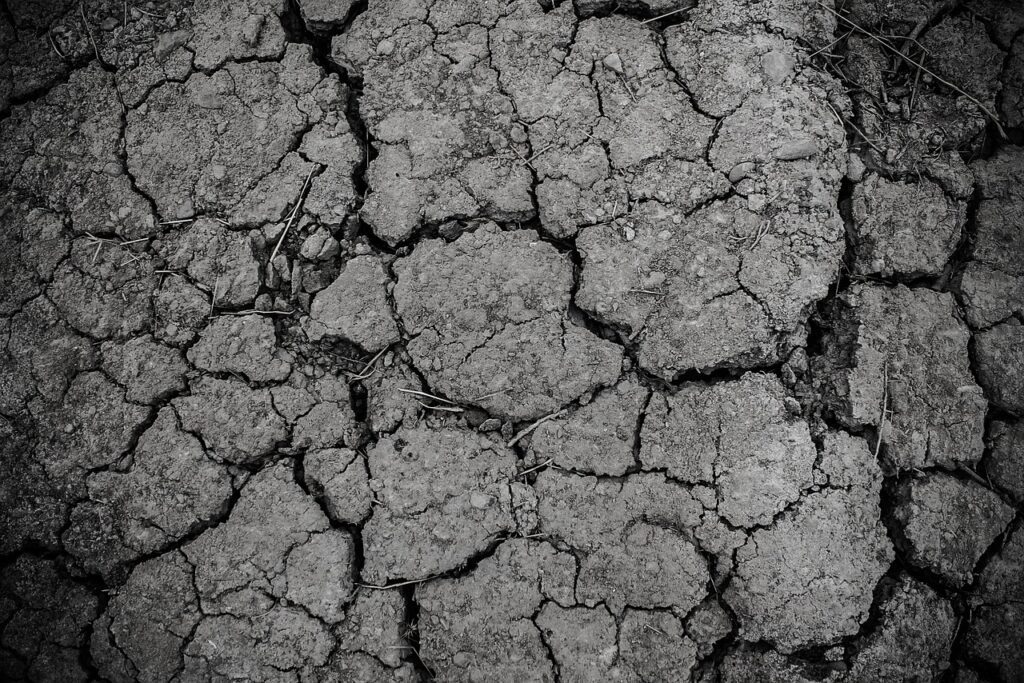 cracked soil