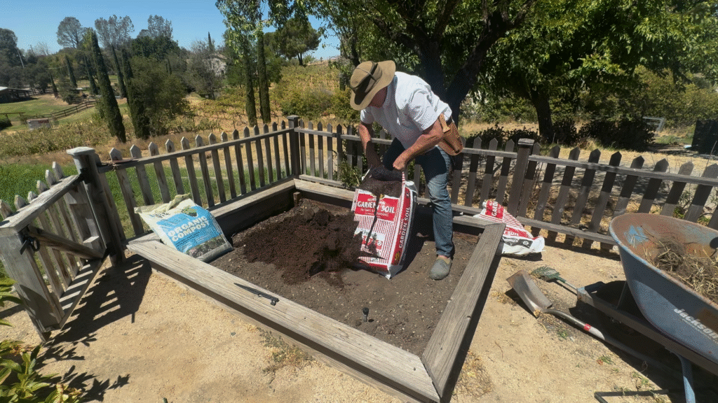 potting soil vs soil